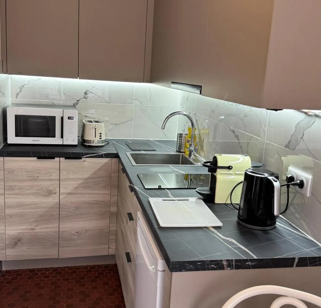 Large Studio Apartment Invalides Montparnasse París 0*,