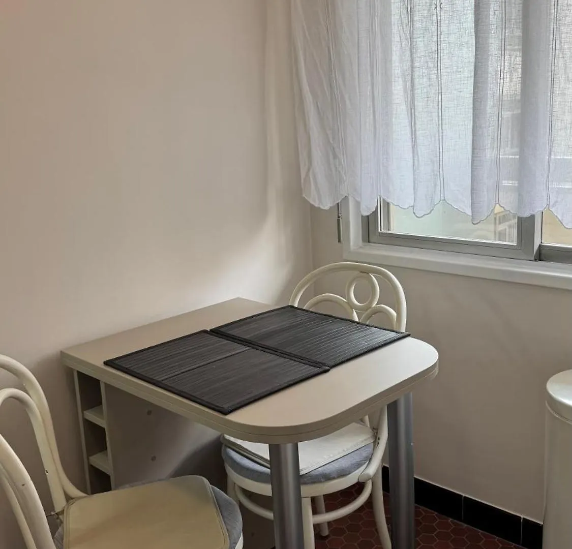 Large Studio Apartment Invalides Montparnasse Paris France