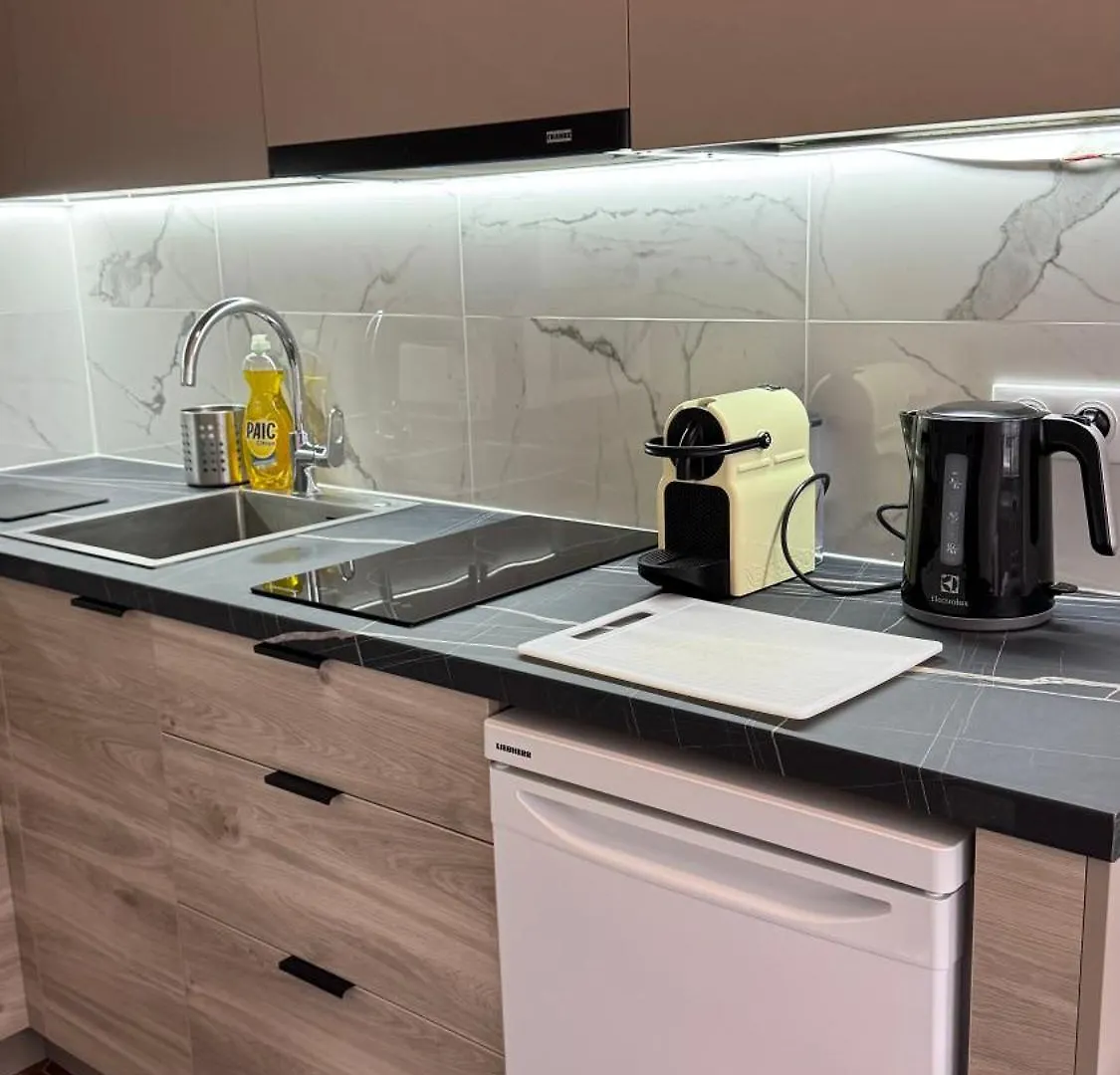 Large Studio Apartment Invalides Montparnasse باريس